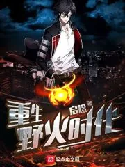 《重生野火时代》封面