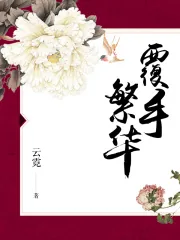 《覆手繁华》封面