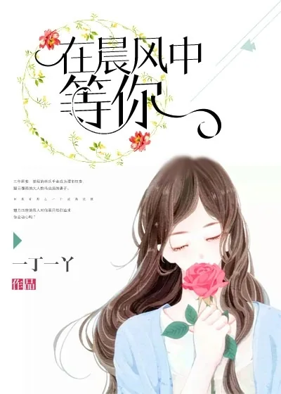 《在晨风中等你》封面