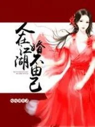 《人在江湖，婚不由己》封面