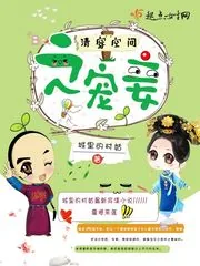 《清穿空间之宠妾》封面