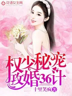 《权少秘宠：攻婚36计》封面