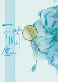 《清穿之一世夙愿》封面