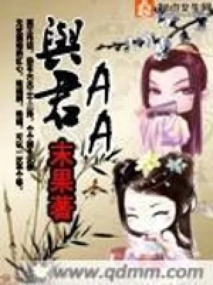 《与君AA》封面