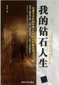 《我的钻石人生》封面