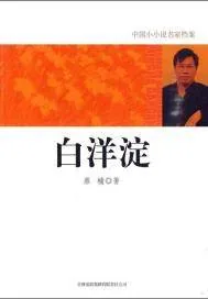 《白洋淀》封面