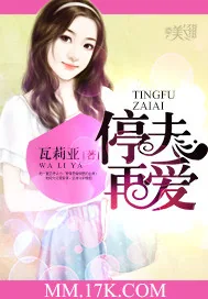 《停夫再爱》封面