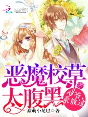 《恶魔校草太腹黑：少爷，求放过》封面