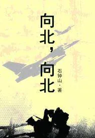 《向北，向北》封面