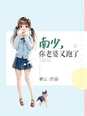《南少老婆又跑了》封面