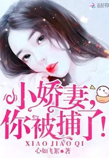 《小娇妻，你被捕了！》封面