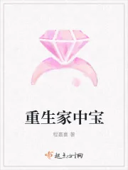 《重生家中宝》封面
