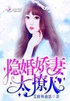 《隐婚娇妻，太撩人！》封面