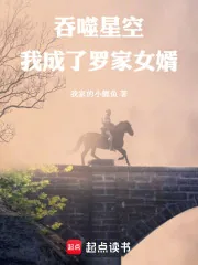 《吞噬星空：我成了罗家女婿》封面