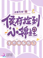 《侯府捡到小锦鲤，全京城都酸了》封面