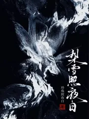 《梨雪照夜白》封面