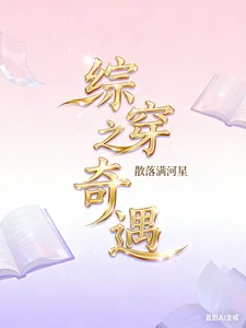 《综穿之奇遇》封面