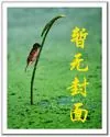《龙啸大明》封面