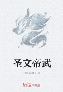 《圣文帝武》小说封面