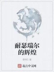 《耐瑟瑞尔的辉煌》小说封面