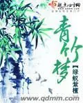《青竹梦》小说封面