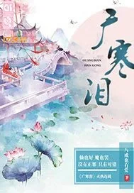 《广寒泪》小说封面