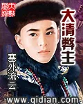 《大清弊主》小说封面