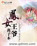 《凤女王爷》小说封面