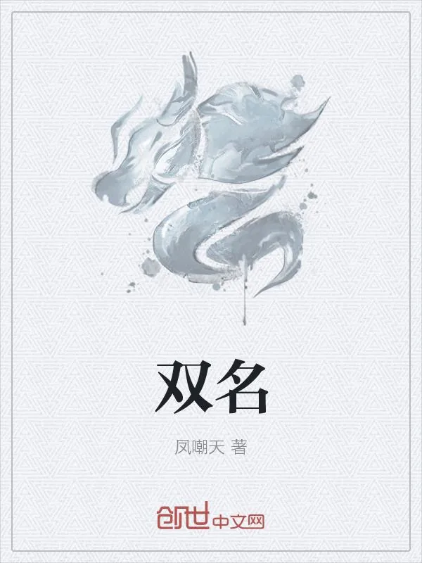 《双名》小说封面