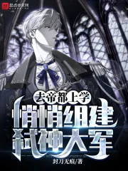 《去帝都上学,悄悄组建弑神大军》小说封面