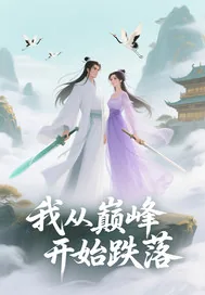 《我从巅峰开始跌落》小说封面