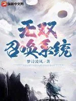 《无双召唤系统》小说封面