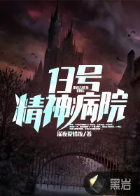 《13号精神病院》小说封面