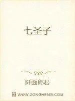 《七圣子》小说封面