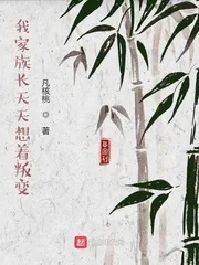 《我家族长天天想着叛变》小说封面