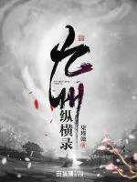 《九州纵横录》小说封面