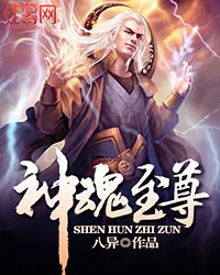 《神魂至尊》封面