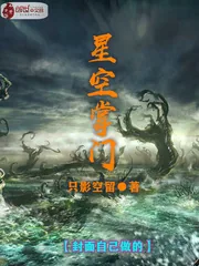 《星空掌门》小说封面