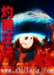 《灼眼狂诀》小说封面