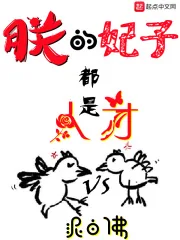 《朕的妃子都是人才》小说封面