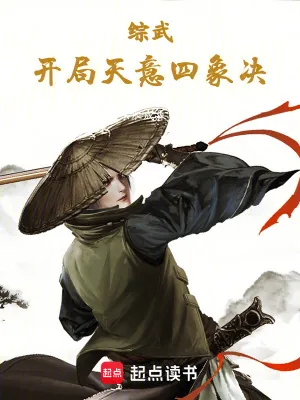 《综武：开局天意四象决》小说封面