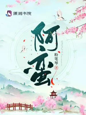 《阿蛮》小说封面
