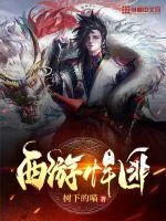 《西游悍匪》小说封面