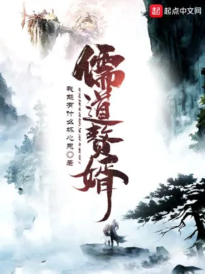 《儒道赘婿》小说封面