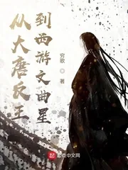 《从大唐反王到西游文曲星》小说封面