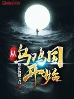 《从乌鸡国开始》小说封面