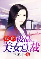 《我的极品美女总裁》小说封面
