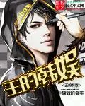 《王的韩娱》封面