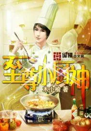 《至尊小厨神》小说封面