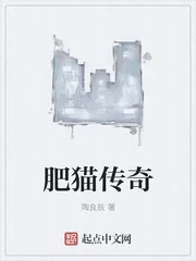 《肥猫传奇》小说封面